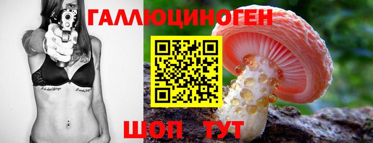 Ахтубинск  Галлюциногенные грибы прущие грибы  Вход с VPN 