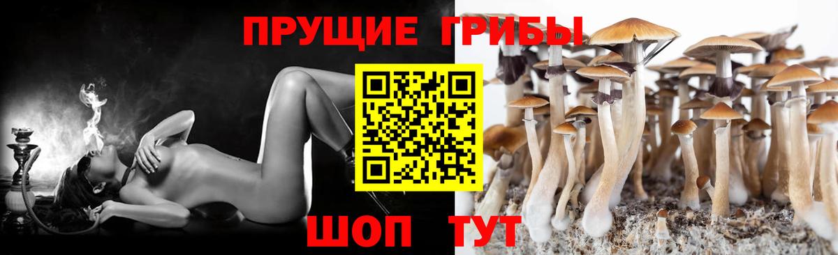 Галлюциногенные грибы Cubensis Ахтубинск